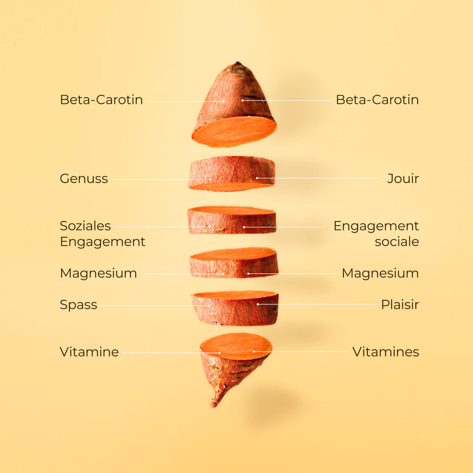 Corporate Design Batati Suesskartoffeln 03