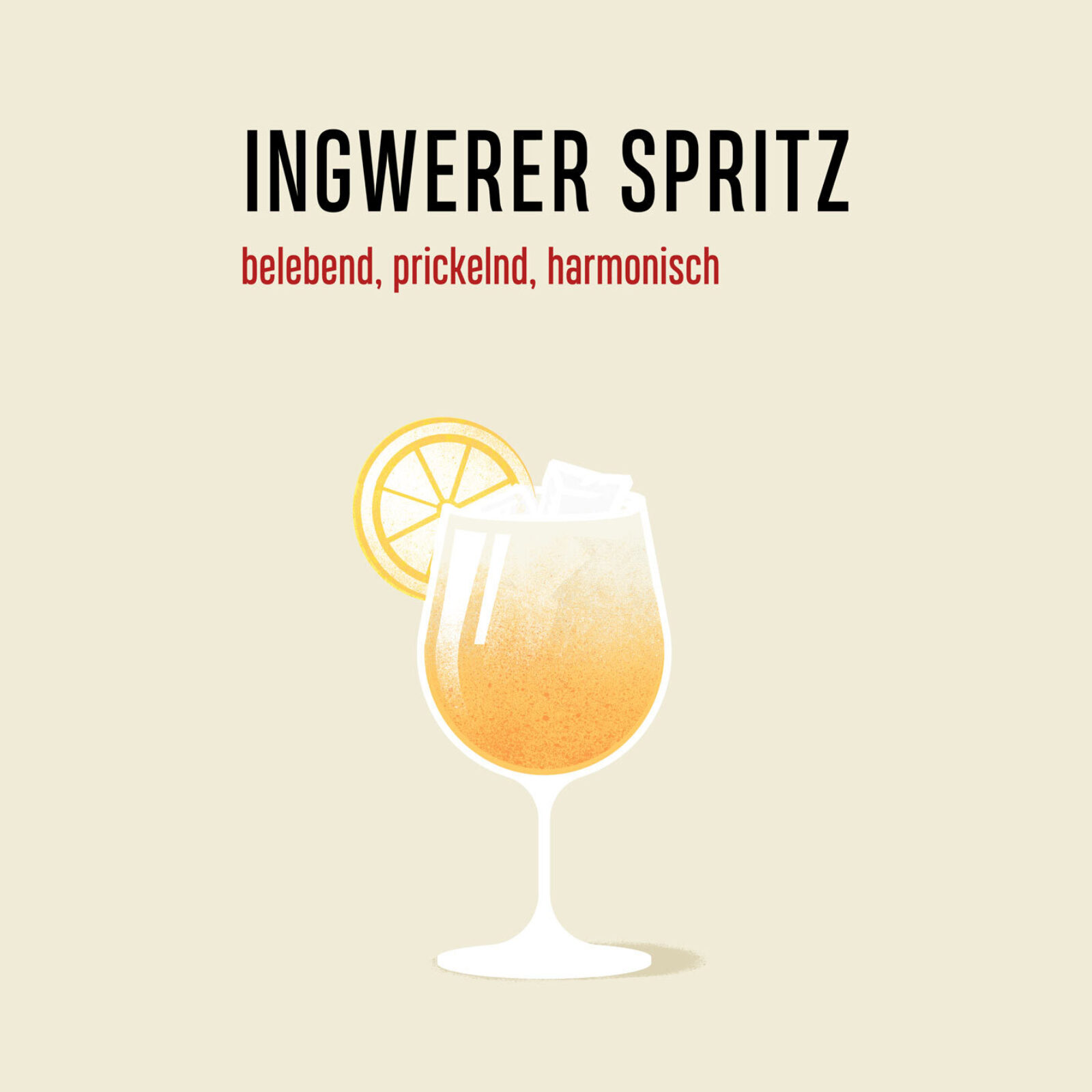 Grafiker Bern Ingwerer Corporate Design 05