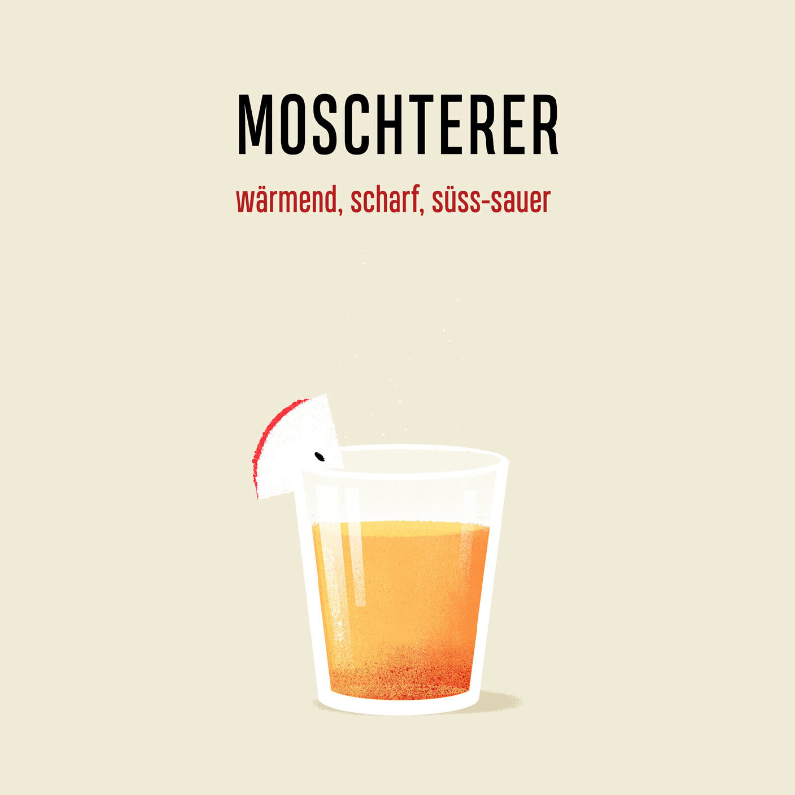 Grafiker Bern Ingwerer Corporate Design 06