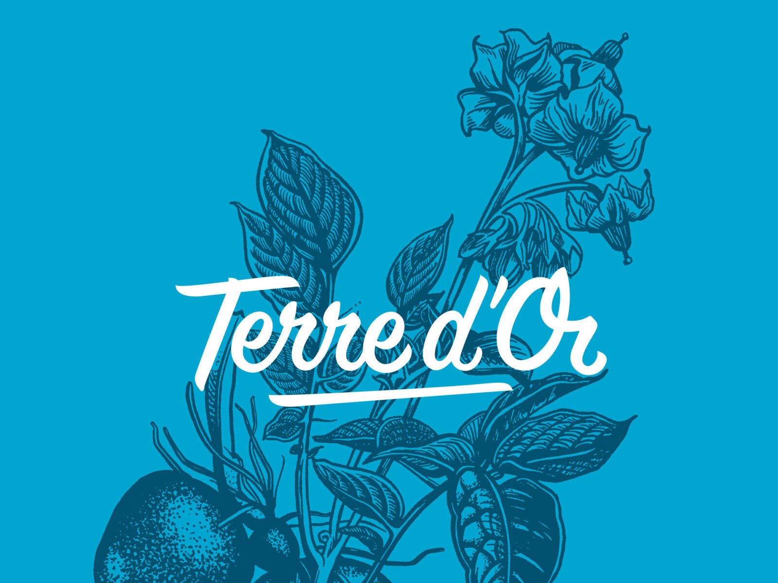 Terre d Or Verpackungs Design 2