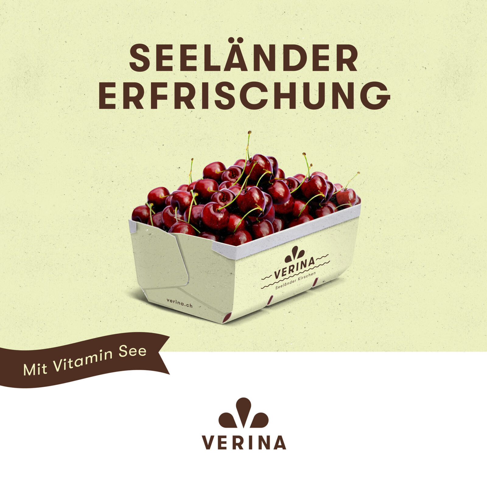 Verina Branding Bern 8